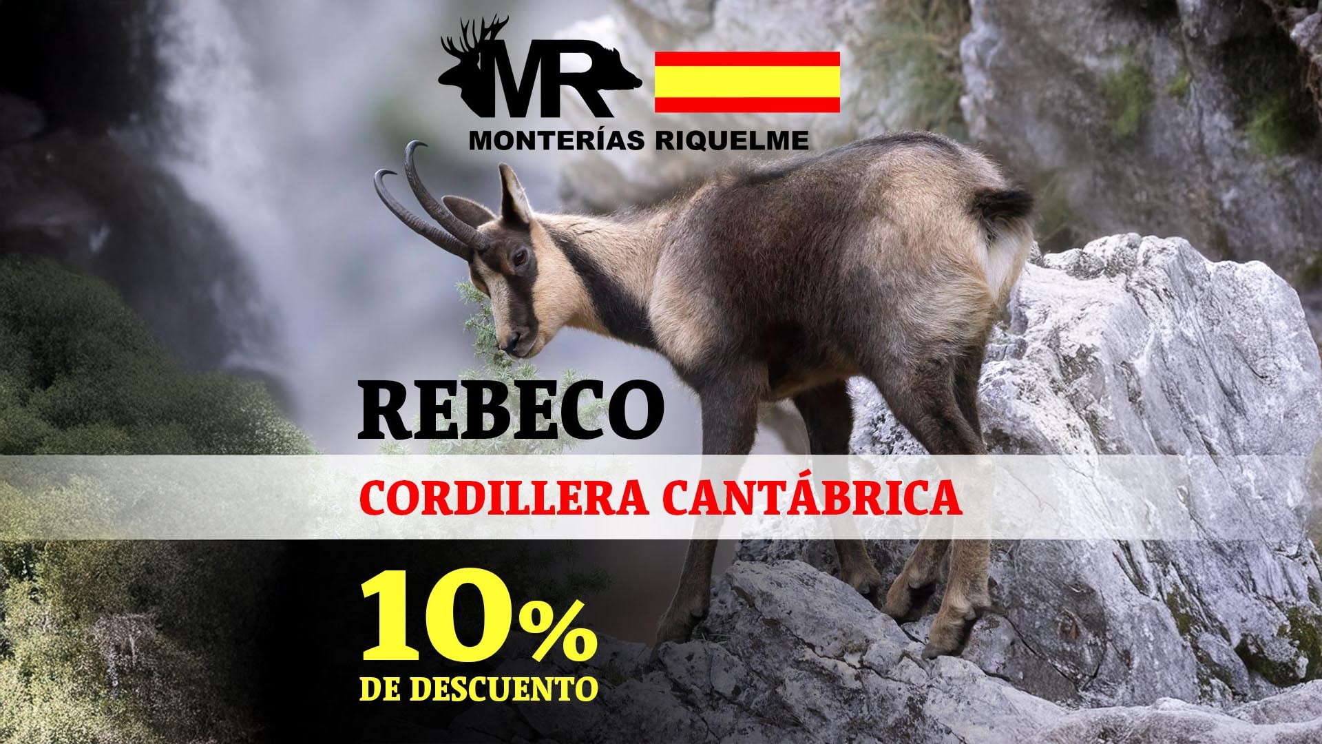 Caza del Rebeco en Cantabria Oferta orgánica Riquelme