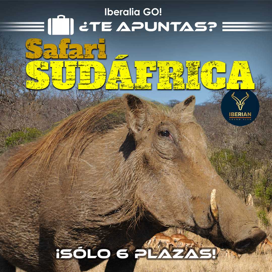 Caza en el Limpopo_IberaliaGo!