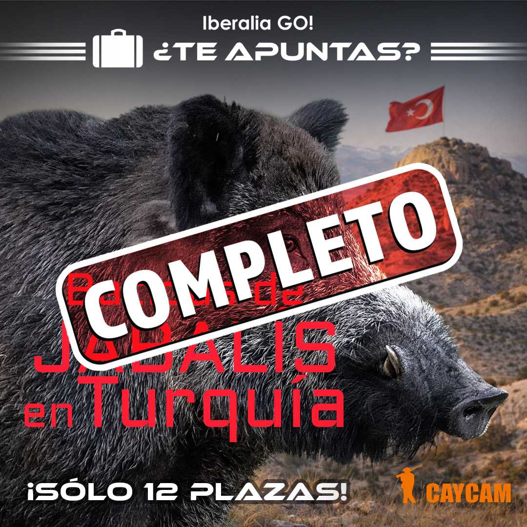 Batidas de jabalis en Turquía_IberaliaGo!
